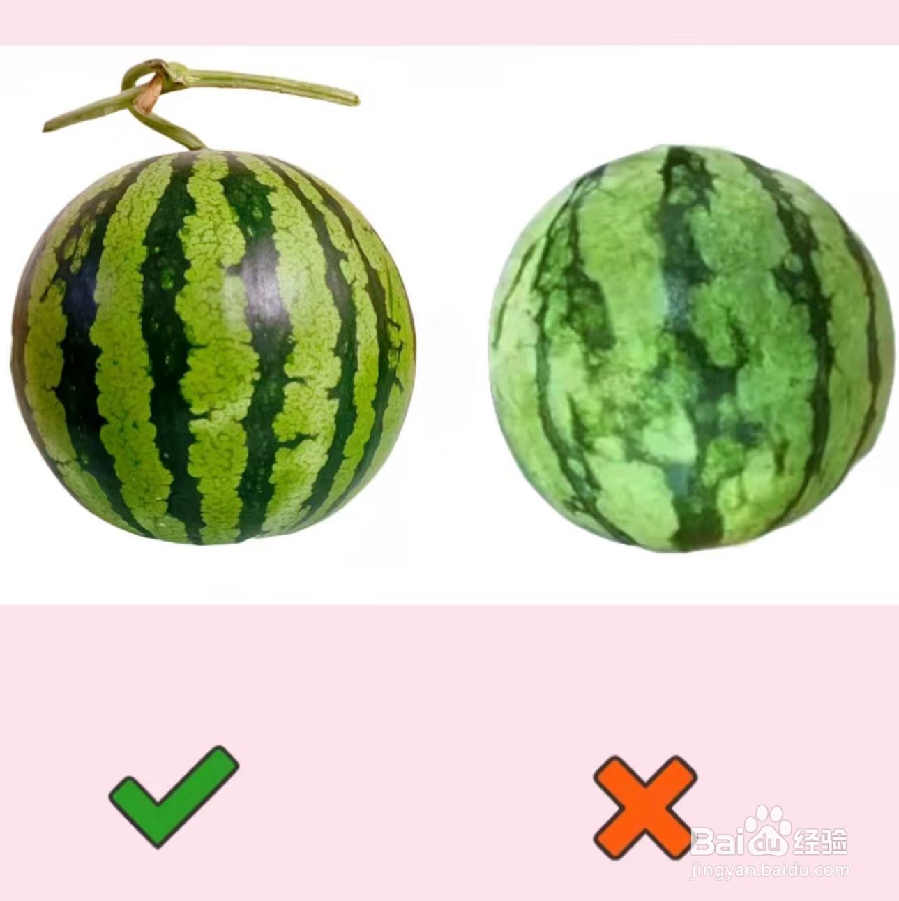 如何选择好吃的西瓜