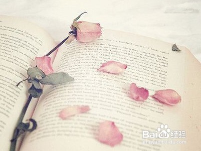 穷人的孩子该怎样规划自己的人生?