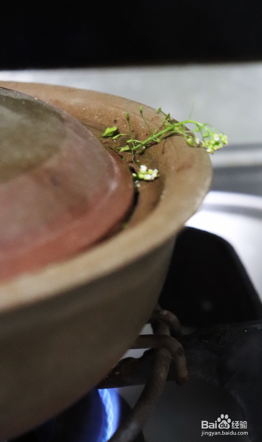 吃不胖的荠菜花煮鸡蛋