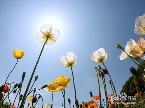 怎样抛开消极心态