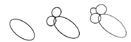 简笔画教学：[2]动物篇2