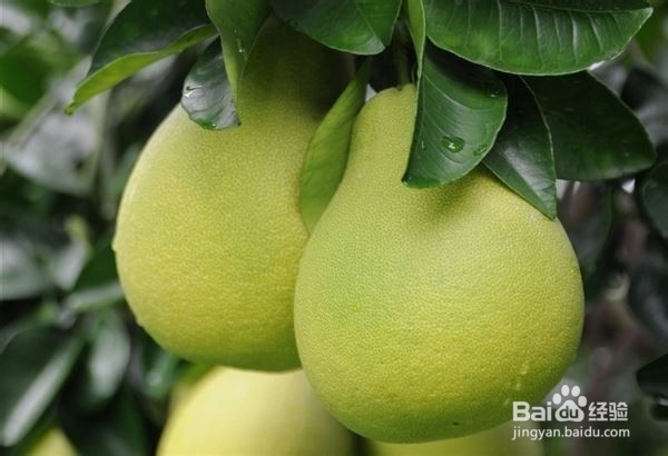 装修除甲醛最好的方法，彻底清除装修后遗症