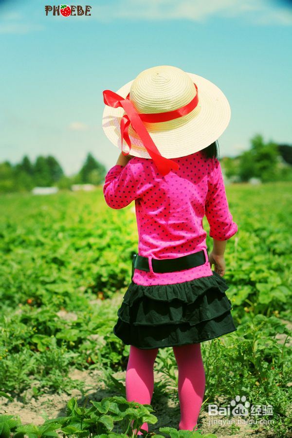 温哥华田园风情草莓采摘(组图)