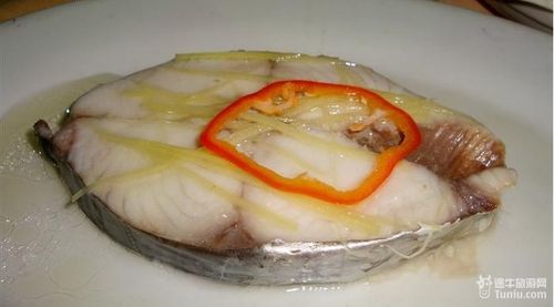 怎样选择东莞美食餐馆