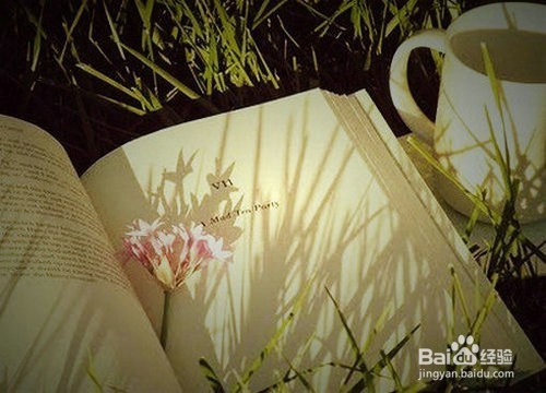 如何让阅读来提升自己的软硬实力