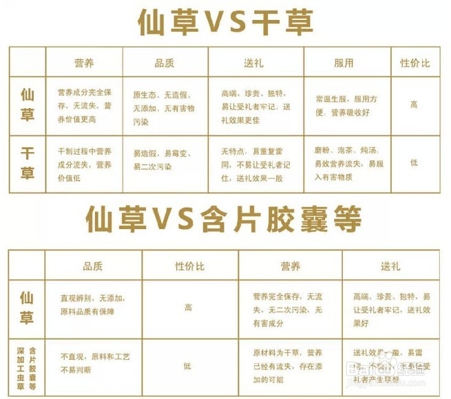 新鲜冬虫夏草和干虫草哪个更好？