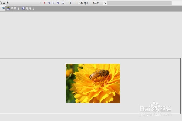 flash图层混合模式应用——图片切换