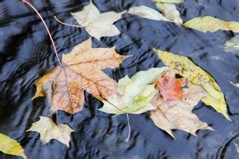 秋季应当注意的问题。