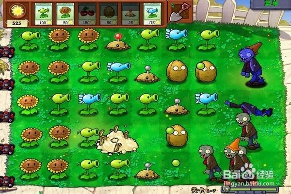 植物大战僵尸通全关的攻略。（七）