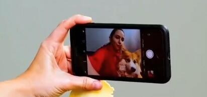 如何学会这些关于宠物的小妙招