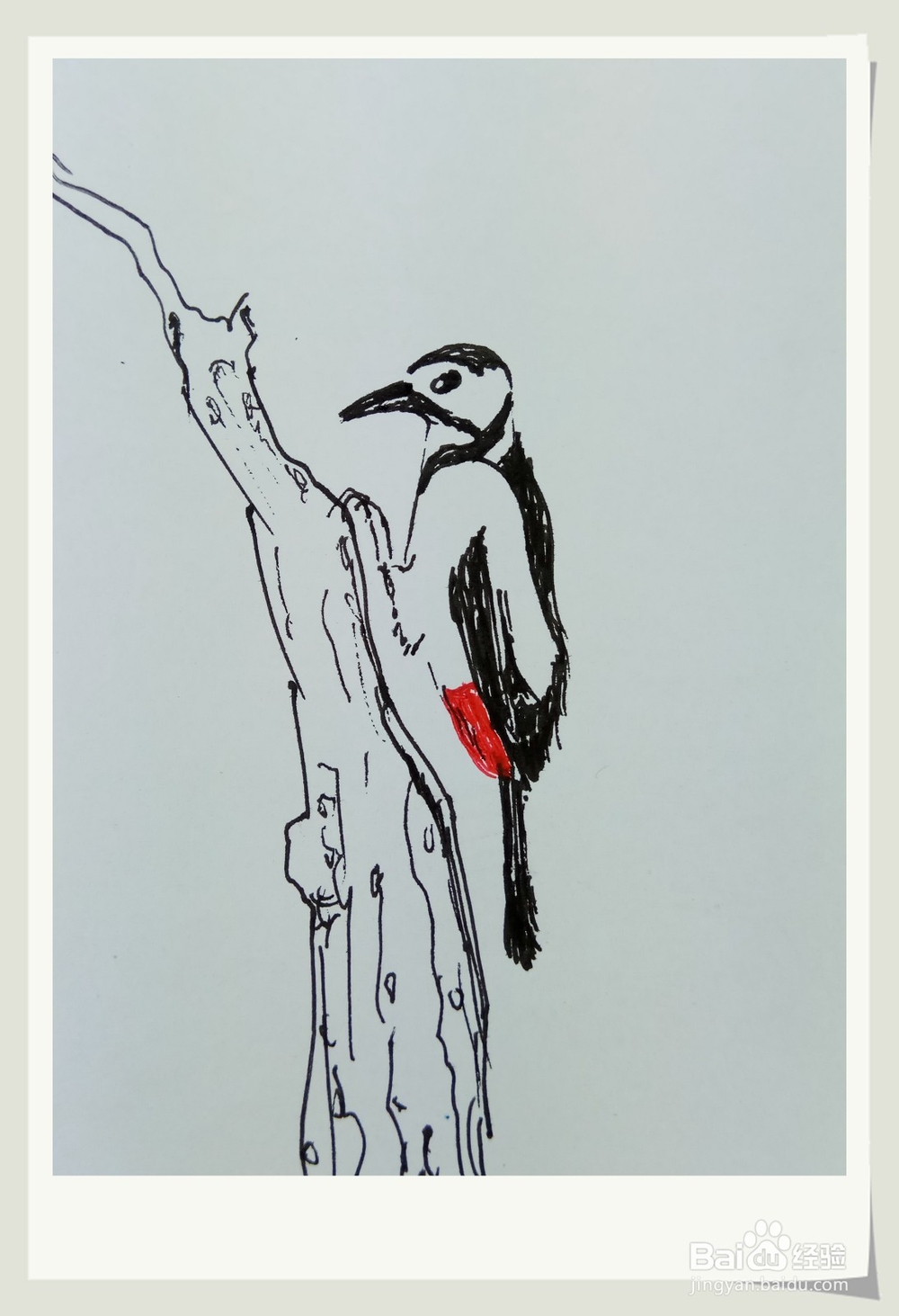 怎样画简笔画“啄木鸟”？