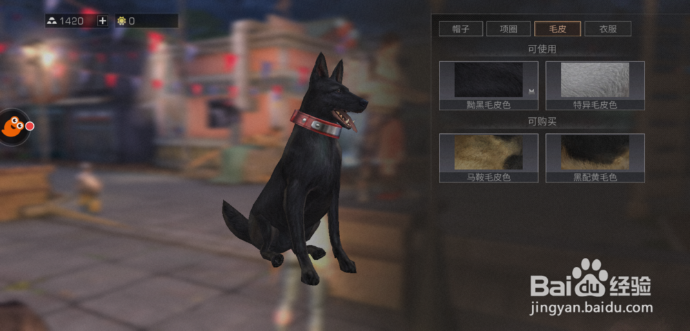 明日之后怎么更改宠物外貌？怎么给宠物买时装