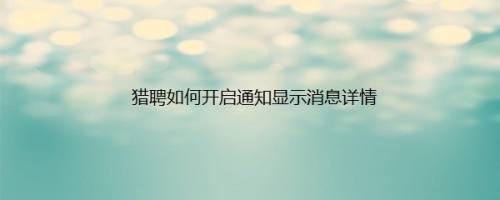 猎聘如何开启通知显示消息详情