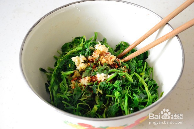 如何做凉拌苜蓿？