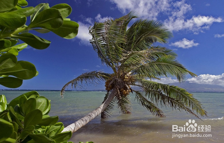 夏威夷州旅游攻略
