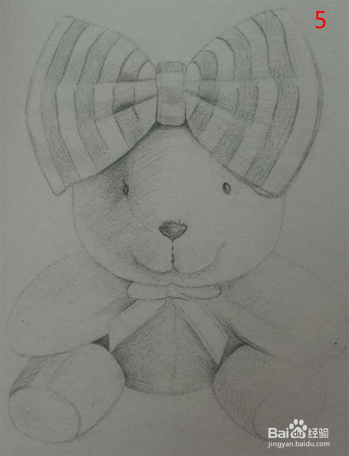 素描画——毛绒熊的画法