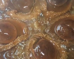 红腰豆扣鲍鱼做法