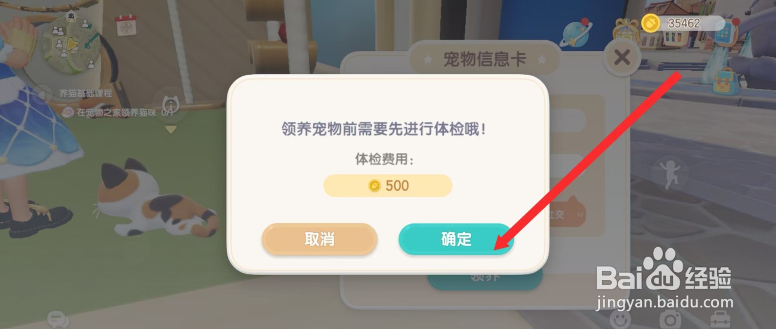 心动小镇怎么领养猫