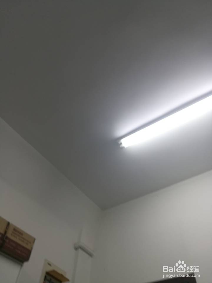 病原体的清除方法