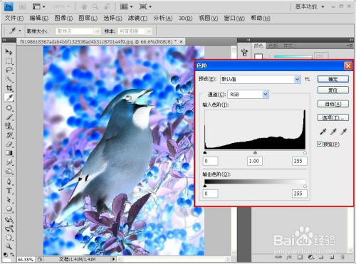 PS技巧大全：[13]