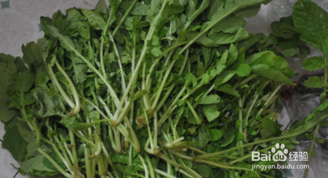 萝卜菜樱子的做法