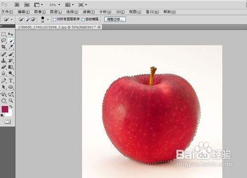 photoshop cs5油漆桶工具怎么用？