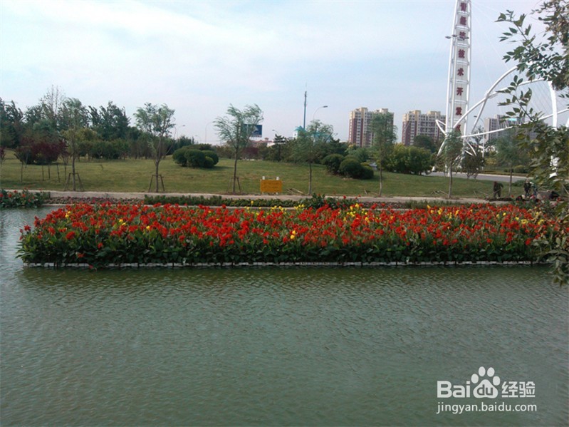 生态浮岛价格及技术