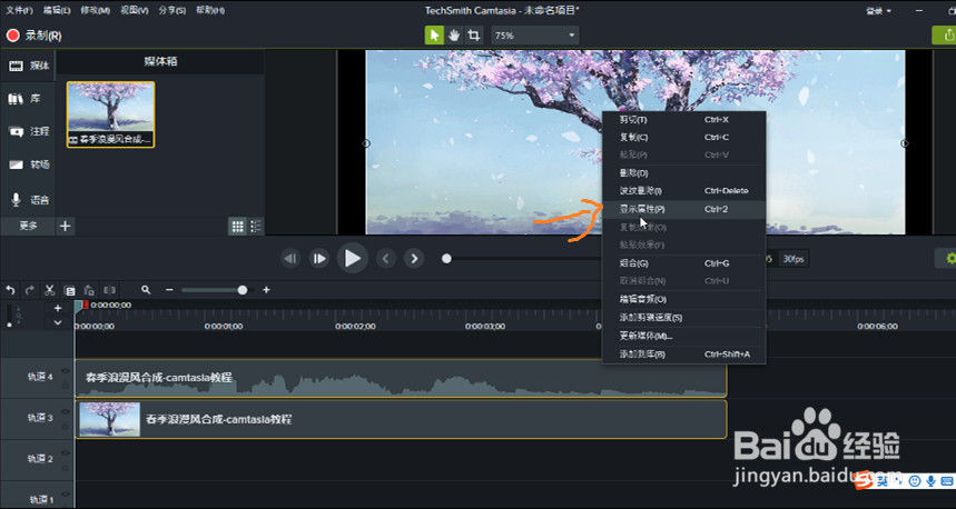 在camtasia2018中如何调整视觉属性？