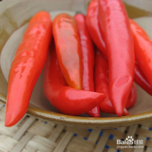 泡椒的腌制方法 泡椒怎么腌制视频教程