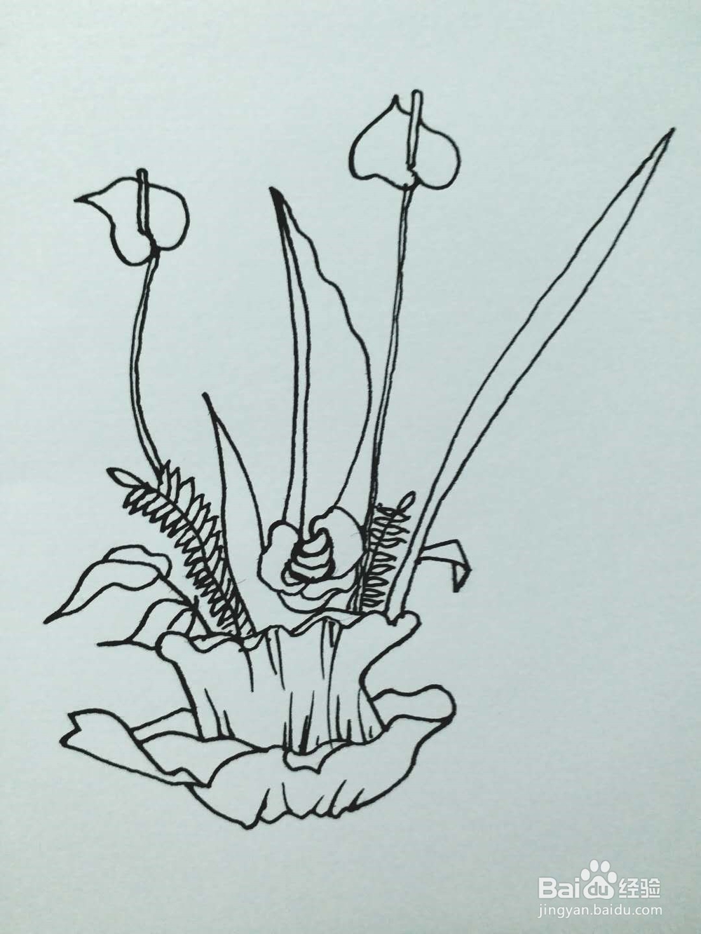 盆景的简笔画法1
