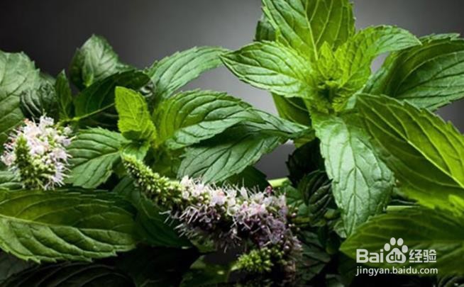 缓解胃痛和恶心的最简单方法