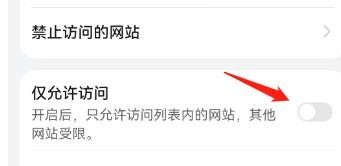 怎么设置仅允许访问已指定的网站?