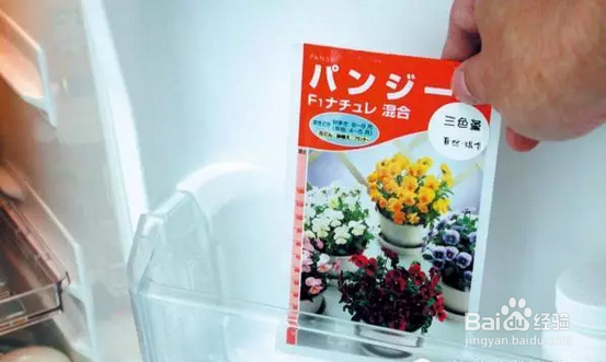 花花草草怎么播种长大