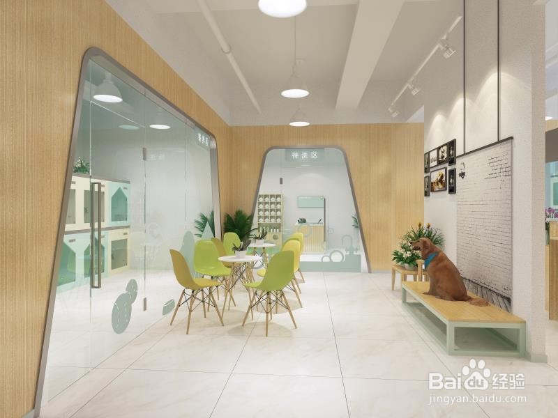 开一家赚钱的宠物店|如何开一家赚钱的宠物店