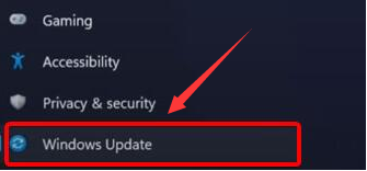 Windows11更新摄像头驱动步骤