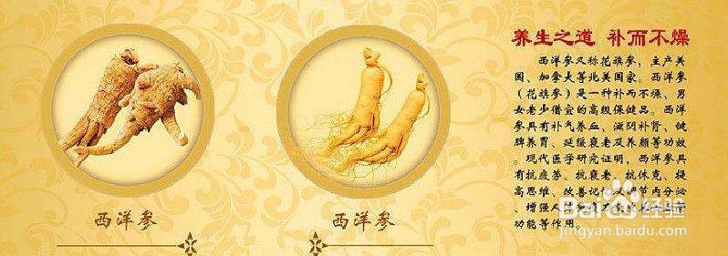 破壁草本西洋参的服用方法