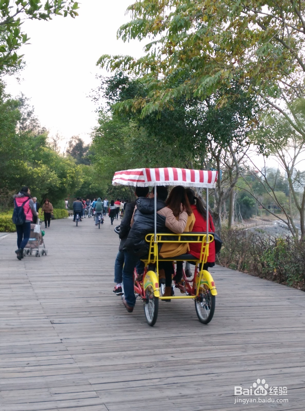 五缘湾湿地公园旅行攻略