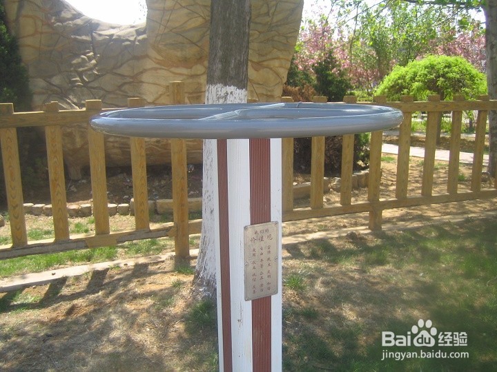 小学的学生休息是怎样玩转盘运动