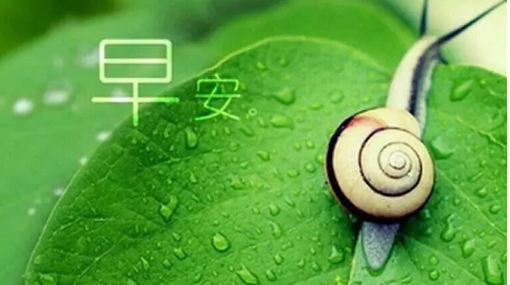 高情商早安问候方式简单短语