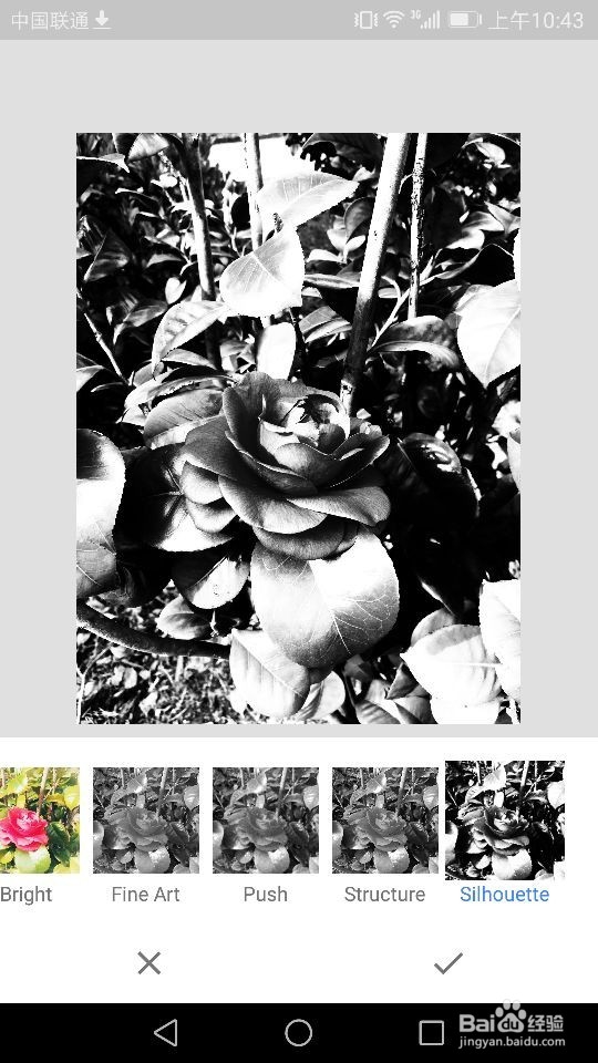 Snapseed软件如何进行照片样式的选择