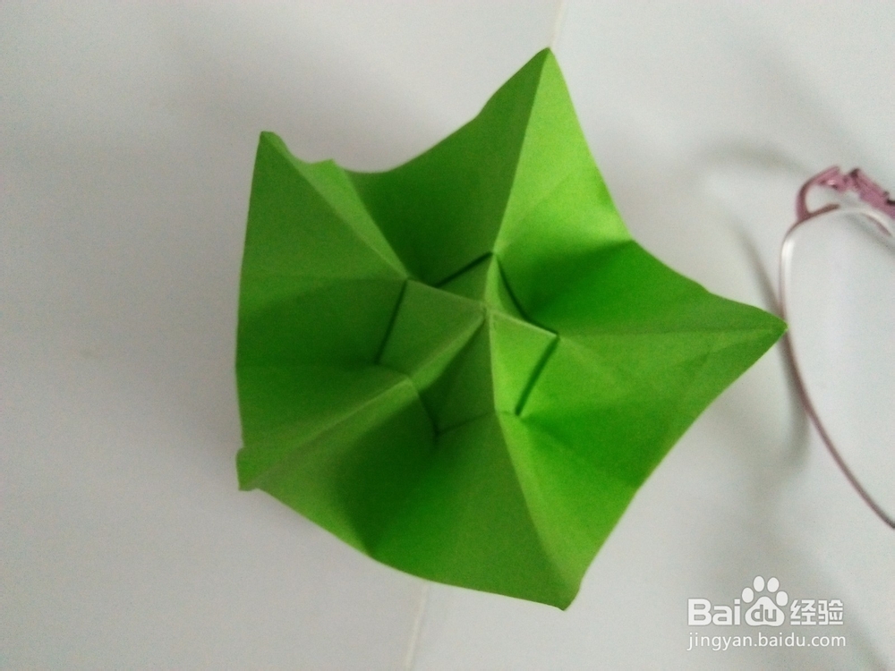 漂亮的杨桃花怎么折