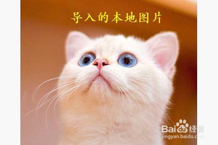 手机版美图秀秀如何给图片添加水印？