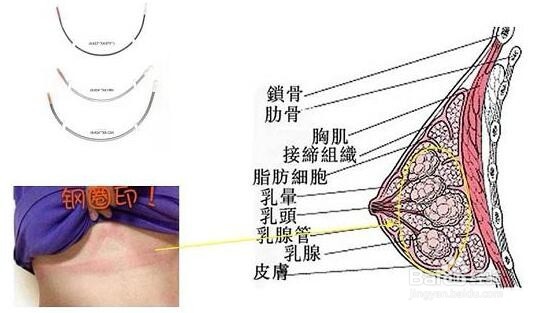 如何选择孕妇穿的胸罩会比较好