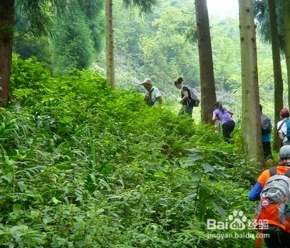 常见的运动项目有哪些