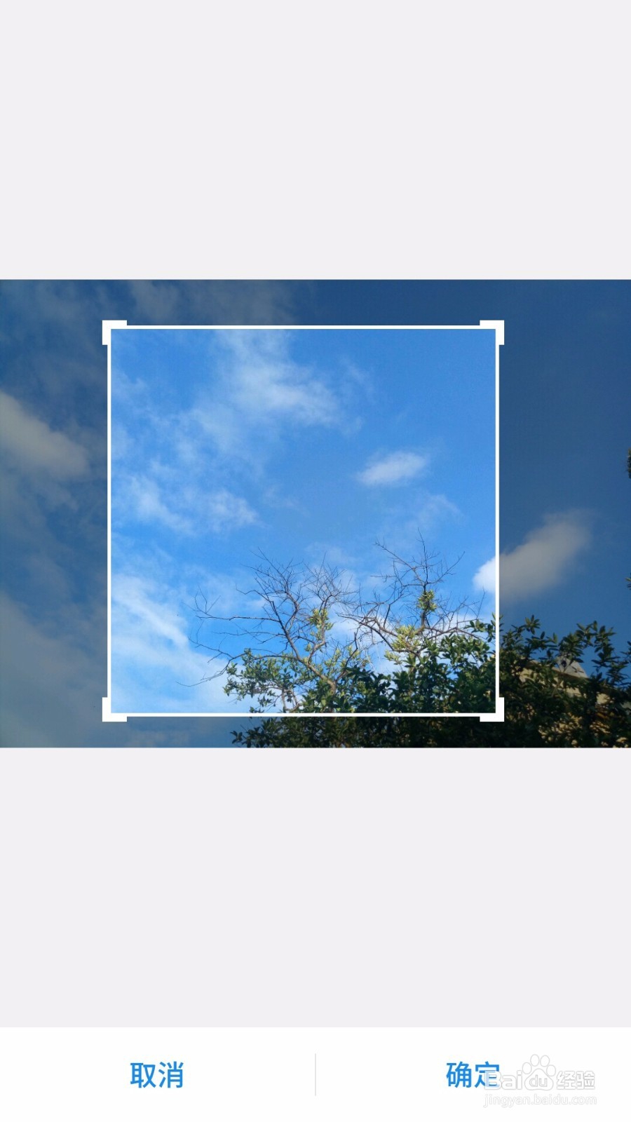 壮牛APP怎么换头像?