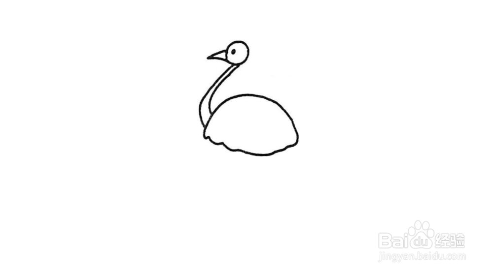 鸵鸟简笔画怎么画