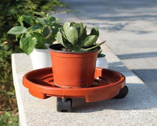 石材日常养护 方法