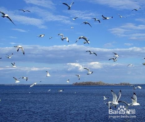 老公有了外遇怎么办