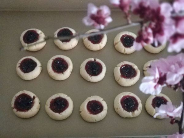 烘培小白零失败小饼干