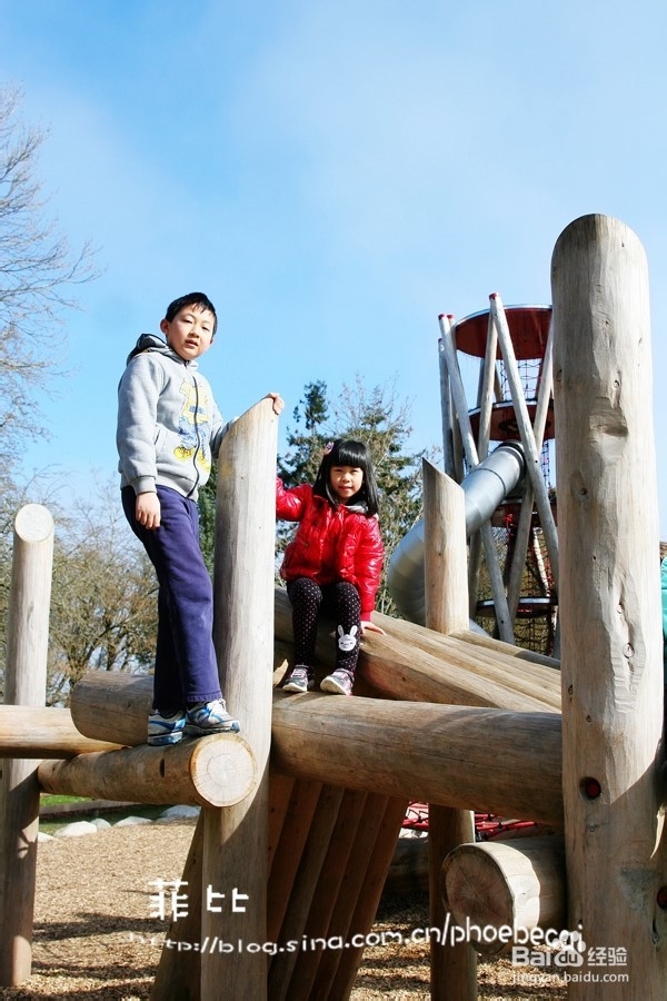 温哥华百万木头公园